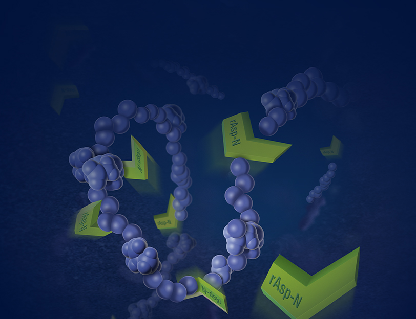 Recombinant AspN  webinar-812x624